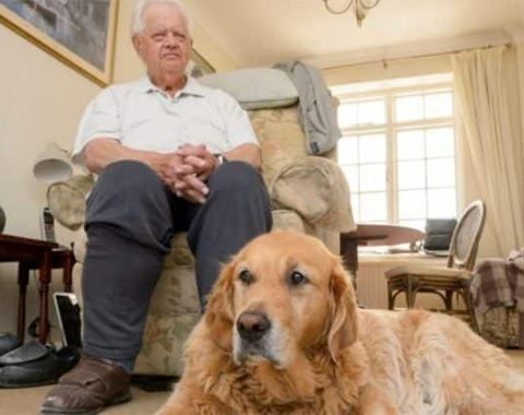 У слепо-глухого дедушки отберут собаку-поводыря, потому что она «слишком толстая»